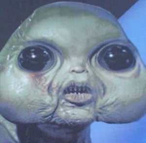 Meet your Posher, Seaweed